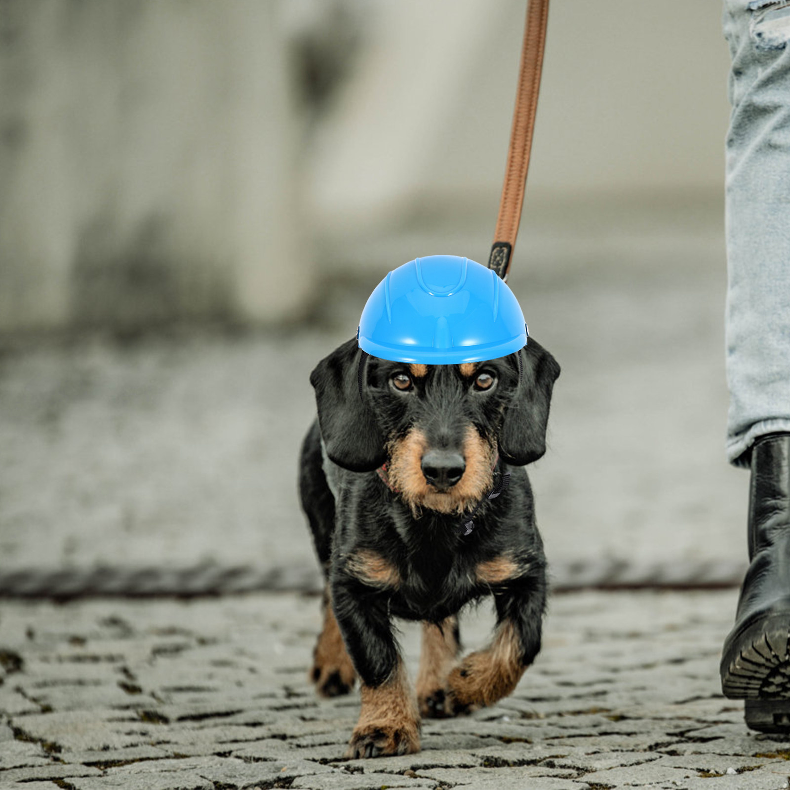 Motorcycle Gear For Dogs - Small Dog Adjustable Pet Motorcycle for