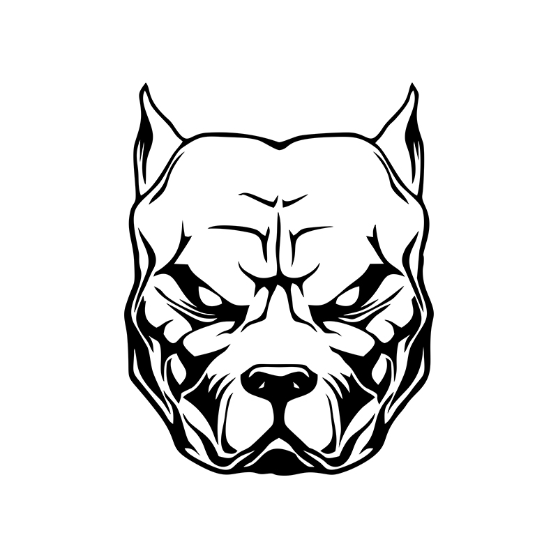 Motorcycle Sticker dog pattern - Motorcycle Gear For Dogs review and price