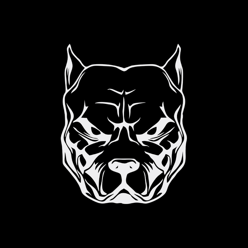Motorcycle Sticker dog pattern - Motorcycle Gear For Dogs review and price