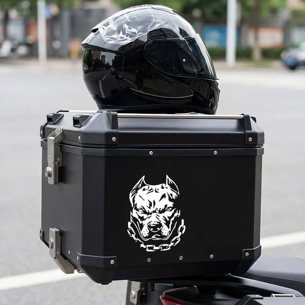 2PCS/SET Multicolor Pitbull Do - Motorcycle Gear For Dogs review and price