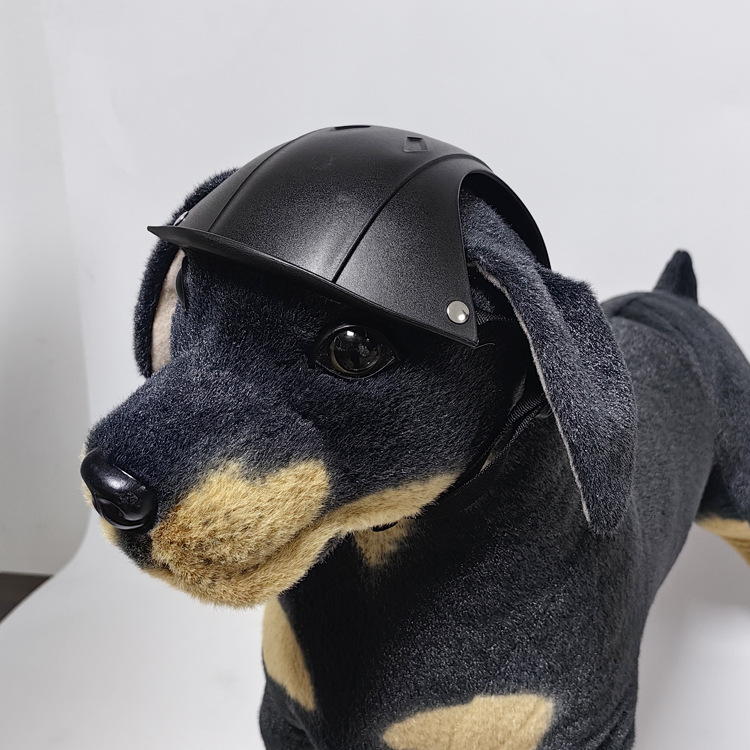 Pet Safety Helmet For Large Do - Motorcycle Gear For Dogs review and price