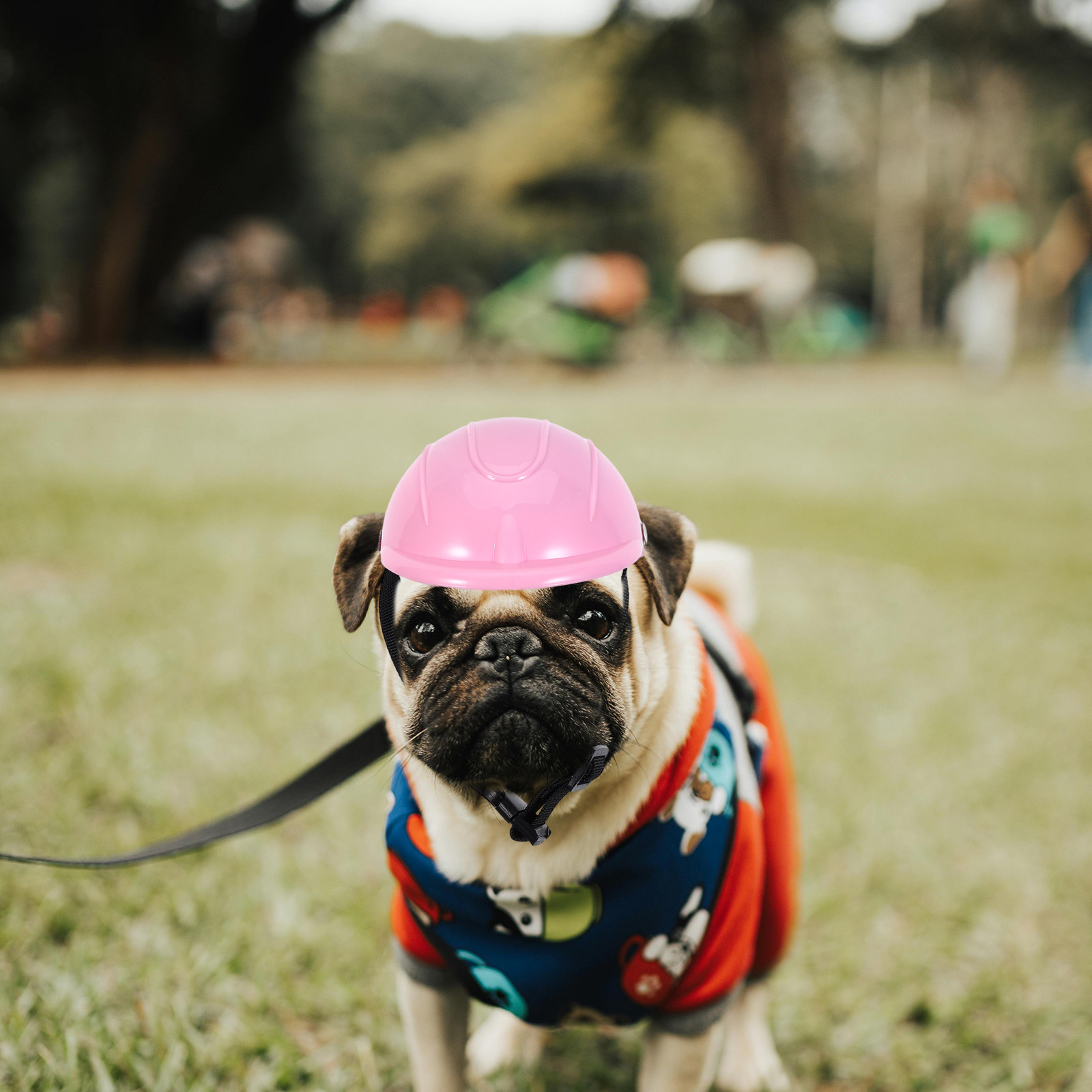 Small Dog Adjustable Pet Safet - Motorcycle Gear For Dogs review and price