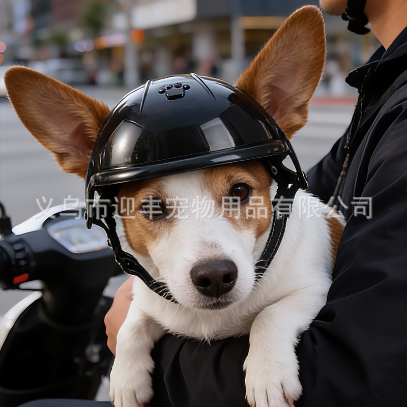 Pink Motorcycle Pet Helmet wit - Motorcycle Gear For Dogs review and price