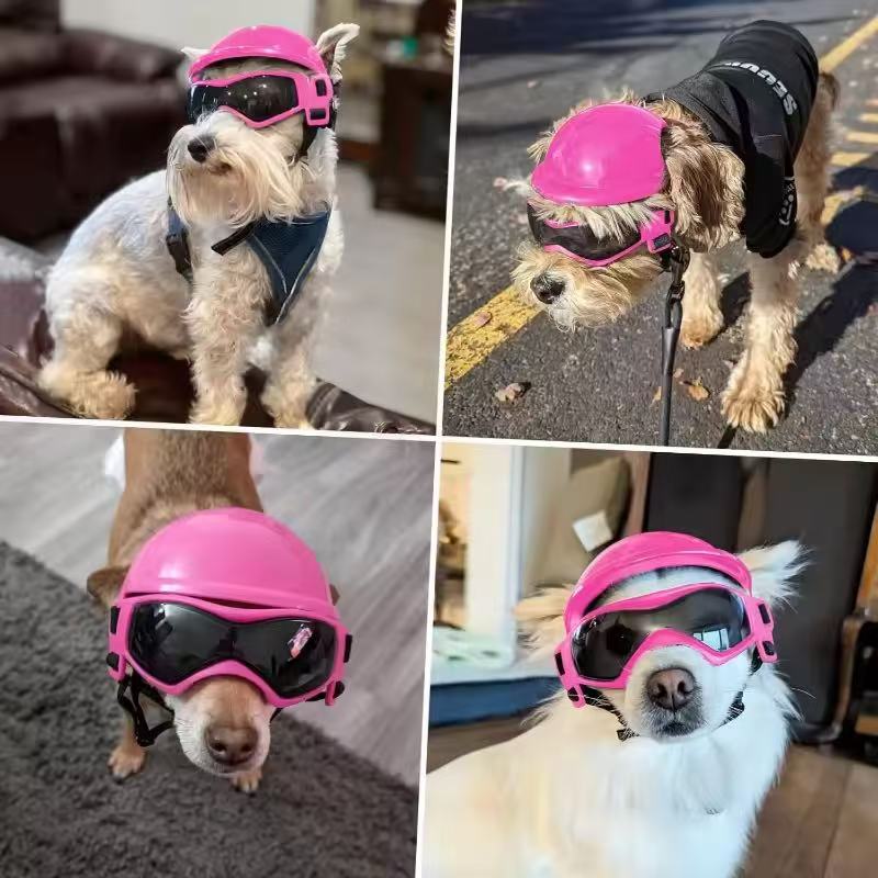 Dog Motorcycle Helmet Goggles  - Motorcycle Gear For Dogs review and price