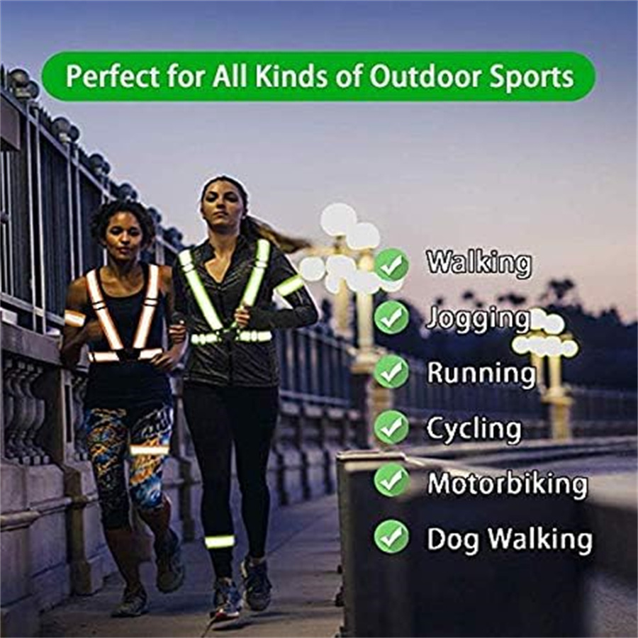 2pcs Adjustable Safety Vest Ru - Motorcycle Gear For Dogs review and price