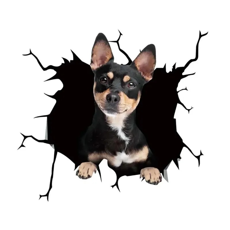 1Pc  French Bulldog Dog Sticke - Motorcycle Gear For Dogs review and price