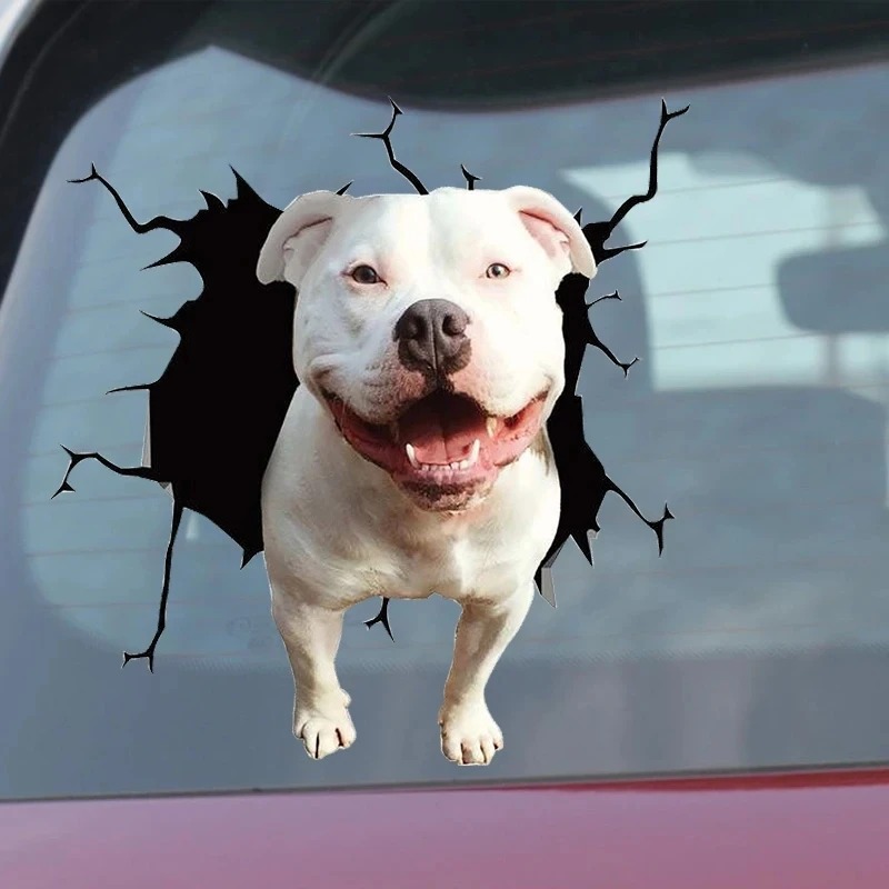 1Pc  French Bulldog Dog Sticke - Motorcycle Gear For Dogs review and price