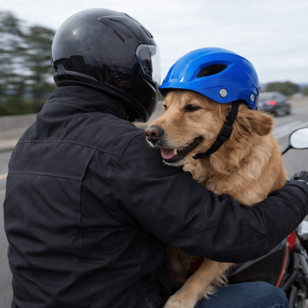 Pet Headgear Adjustable Dog He - Motorcycle Gear For Dogs review and price